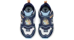 BOYS TODDLER SNEAKER>BLUEY New